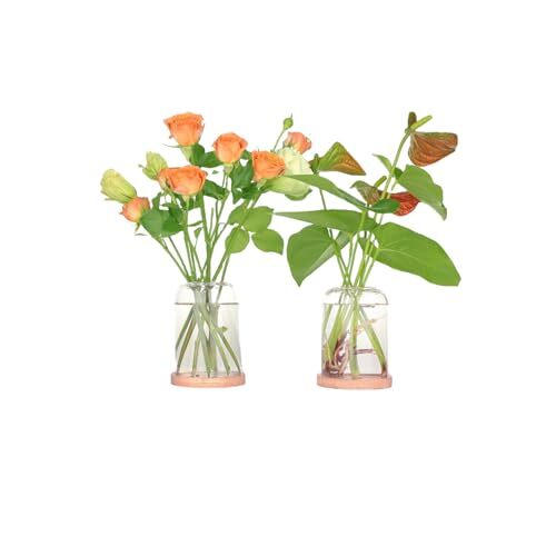 Plant Propagation Stations Desktop Glass Planter Terrarium with Lid and Wooden