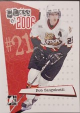 2006 - 2007 ITG Bob Sanguinetti Calder Cup Champions #CL-12 Hockey Card 