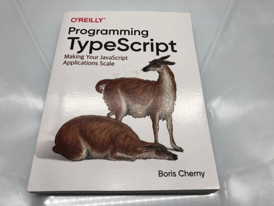 Programming TypeScript: Making Your JavaScript Applications Scale Buch Neuwertig