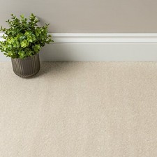 Carpet Cheap Carpets Twist Pile Carpet Feltback Carpet - Lounge Bedroom