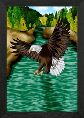 Hand Drawn Eagle Flying Framed Wall Art Poster Canvas Print Picture