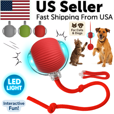 #ad Automatic Rolling Ball Smart Cat Dog Toy Electric Pet Self moving Kitten Game US $7.89