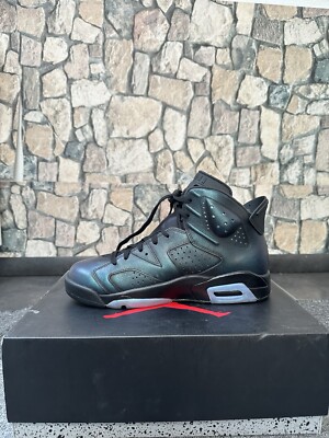 Jordan 6 chameleon