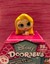 Disney-Doorables-Season-1-amp-2-limited-common-rare-ultra-rare-special-UPick thumbnail 131