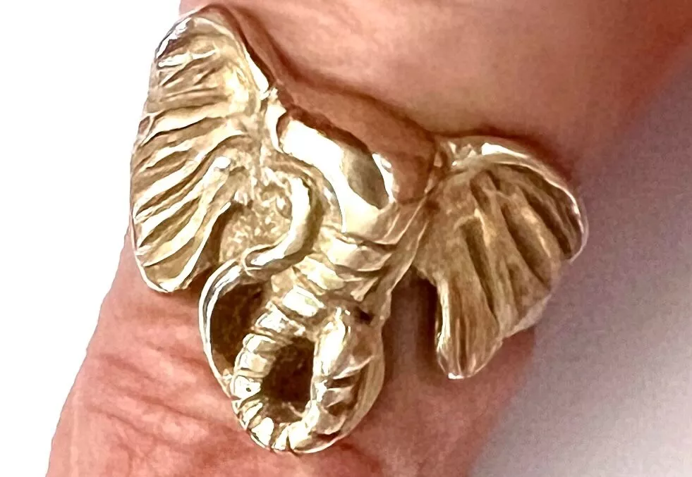 Elephant trunk best sale ring