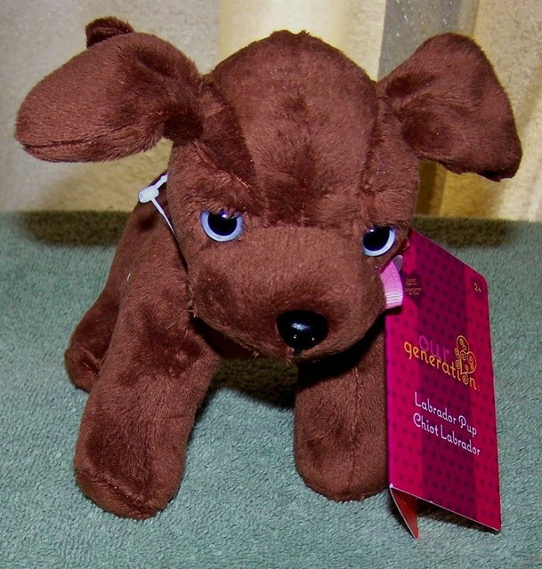 our generation labrador pup