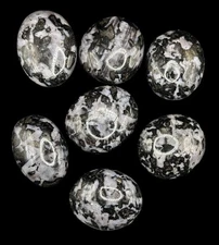 Indigo Gabbro Mystic Merlinite Palmstone Lot Of 7 - 482g, One Pound *US SELLER*