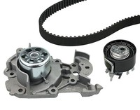 Meyle Wasserpumpe + Zahnriemensatz U.A. FüR Dacia, Renault