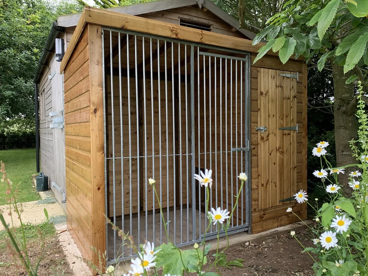 Secure dog clearance kennels and runs