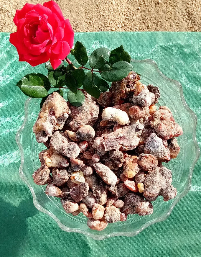 Piñon Pine Tree Sap/Resin/Pitch from SW New Mexico 1oz.-2lb. Incense,Salves,Etc. - Image 2 of 4