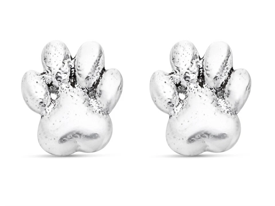 Hinds silver deals earrings