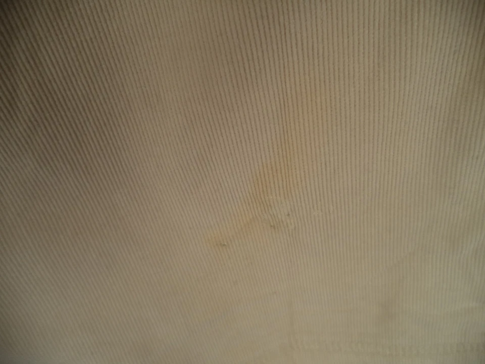 Womens Beige First Issue Casual Pants. 14. 100% Cotton. Inseam 30. - Image 4 of 4