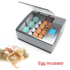 ✅16 Eggs Egg Incubator for Hatching Egg Full Automatic Turning Duck Chicken Egg