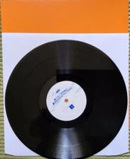 Uakti – Can't Run But / Rhythm Of The Saints 2008 deep /  house 12" vinyl record