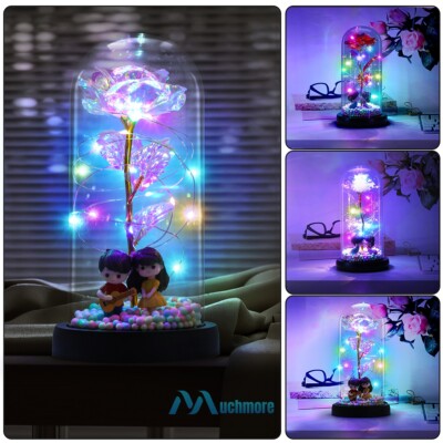 Rose Flower In Glass with LED Light Gifts For Her Valentine Girlfriend Birthday