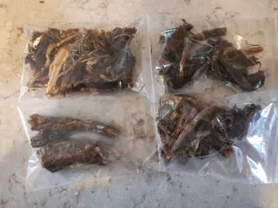 1 oz. Osha Root Whole (Ligusticum Porteri) Wildcrafted