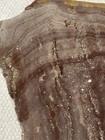 Wonderstone Rhyolite Rough Slabs • Banded WonderStone For Cabbing Jasper — photo 8