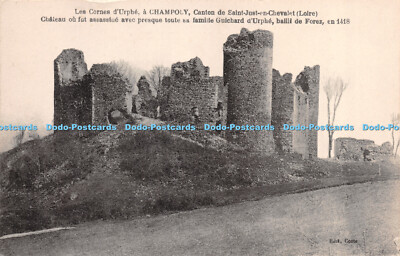 R274764 Les Cornes dUrphe a Champoly Canton de Saint Just en Chevalet Loire Chat