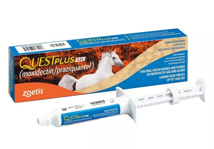 Quest Plus Horse Wormer & Boticide Moxidectin Equine Paste 1 Tube