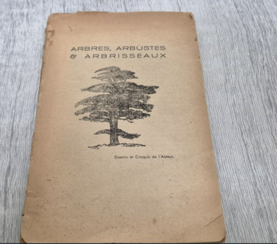 Bäume Sträucher Sträucher Skizzen alt Botanik Zeichnungen Natur Buch selten