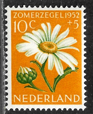 HICK GIRL-MINT NETHERLANDS STAMP   SC#B211  1952  FLOWER ISSUE   C771