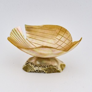 Victorian Dove Mother of Pearl Salt Cellar Footed Trinket Dish Shell Art