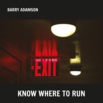 BARRY ADAMSON - Know Where To Run - CD - **Excellent Condition**