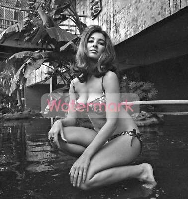 Young ANNE ARCHER in a Tiny Bikini ** HI-RES Fine Art Archival Print (8