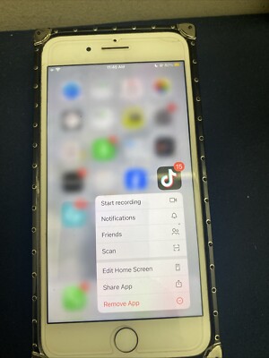 iPhone With TikTok