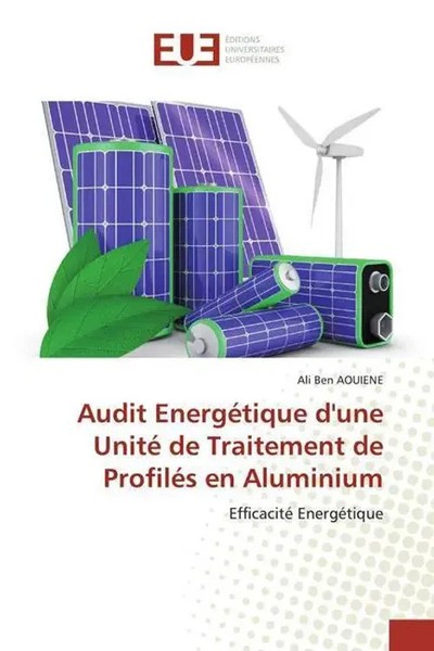 Ali Ben Aouiene | Audit EnergéTique D'une Unité De Traitement De ProfiléS En...-image