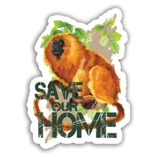 Gift Sticker : Golden Lion Tamarin Nature Eco Ecology Wild Animals Wildlife