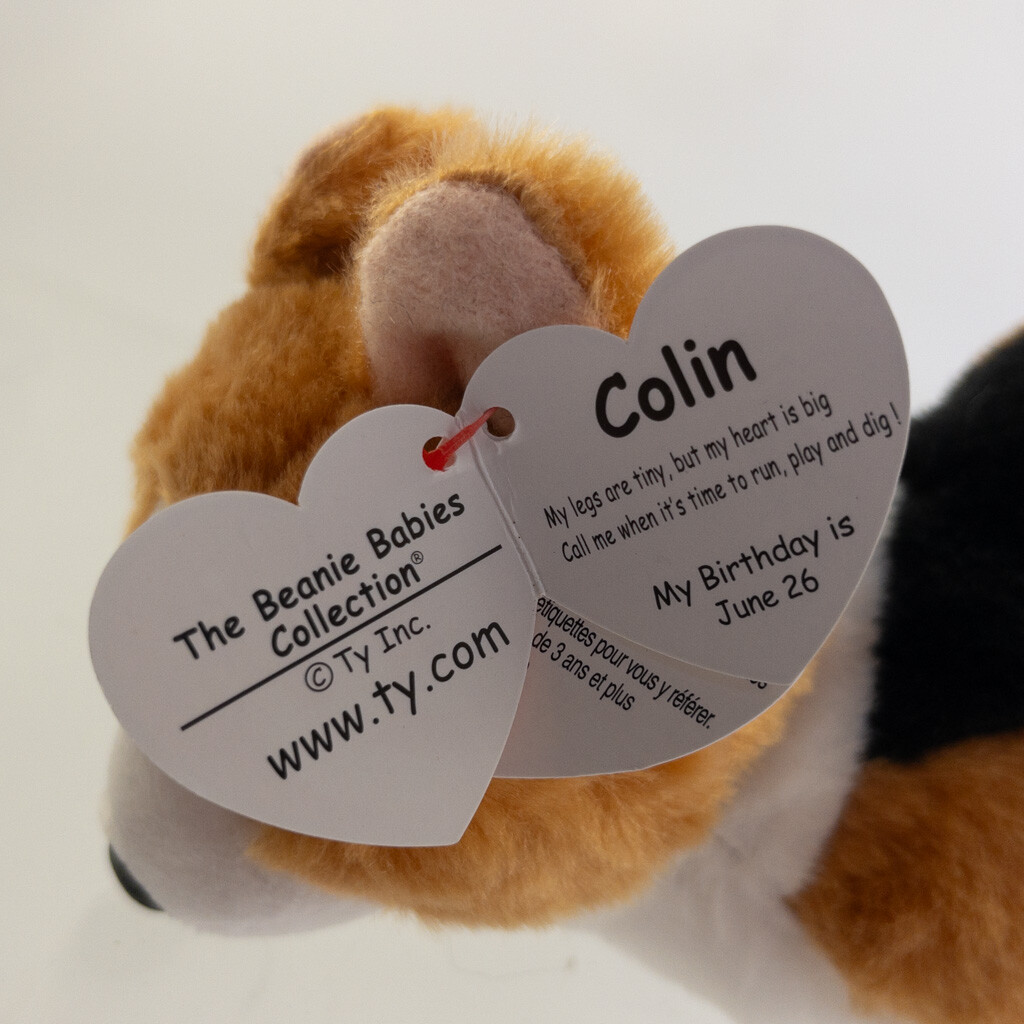 TY Beanie Baby - COLIN the Dog (w/ Karli tush tag - ODDITY