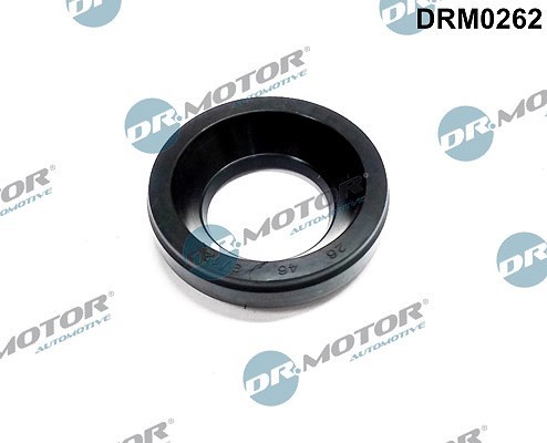 Dr.Motor Automotive Dichtung, DüSenhalter FüR Mazda-image