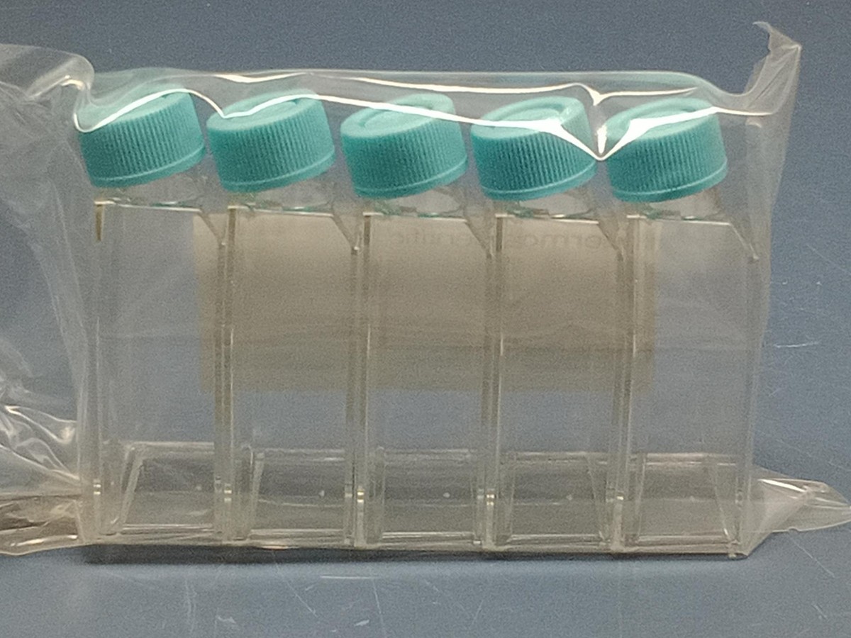 ‪ꪔ̤̮i‪ꪔ̤̮i　0628 200) Thermo Scientific 130189 BioLite T25 Flask Cell Culture