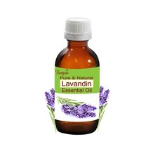 Lavandin Pure Natural Essential Oil Lavandula x intermedia by Bangota