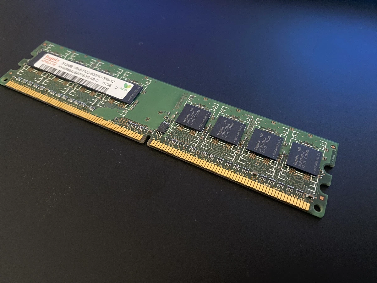 1Go RAM DAN ELEC D2D667-064285T 240-Pin DIMM DDR2 PC2-5300U 667Mhz 1Rx8