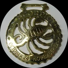 SCORPIO    Astrology  Horse brass (N747)