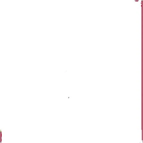 Салфетки на день рождения животных