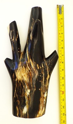 Fossil Holz versteinerter Ast Miozän 20 m.j.o., 35 cm, 3,8 kg Ostjava