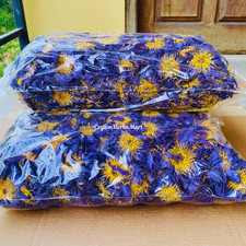 BLUE LOTUS Nymphaea Caerulea 100 Dried Organic Herbal Hand Picked Pure Flowers
