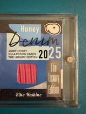 Juicy Honey- Riko Hoshino Denim 2025