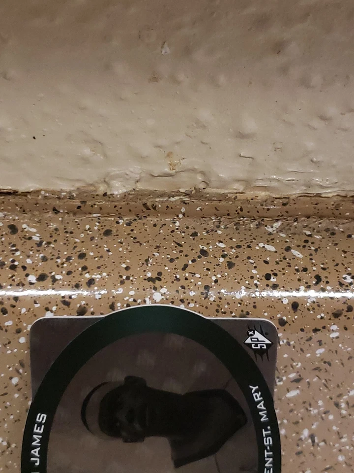 🤩FUTURE HOF🤩LEBRON🤩 🤑JAMES🤩SPX💥2014-15💥HOLOVIEW💥DIE-CUT🌟MINT🌟CONDITION - Image 4 of 4