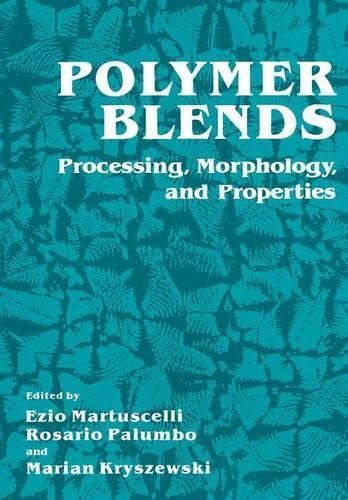 Polymer Blends - 9781461331797