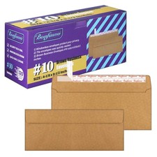 120 Pack 10 Brown Kraft Security Envelopes 4-1/8 x 9-1/2 inches Self Seal