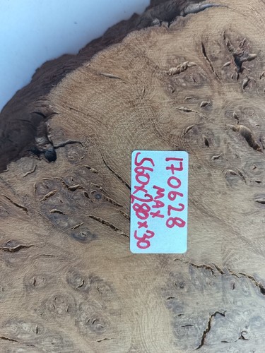 560x280x30mm Full Burr Oak Hardwood Timber Plank 170628 - Picture 10 of 10