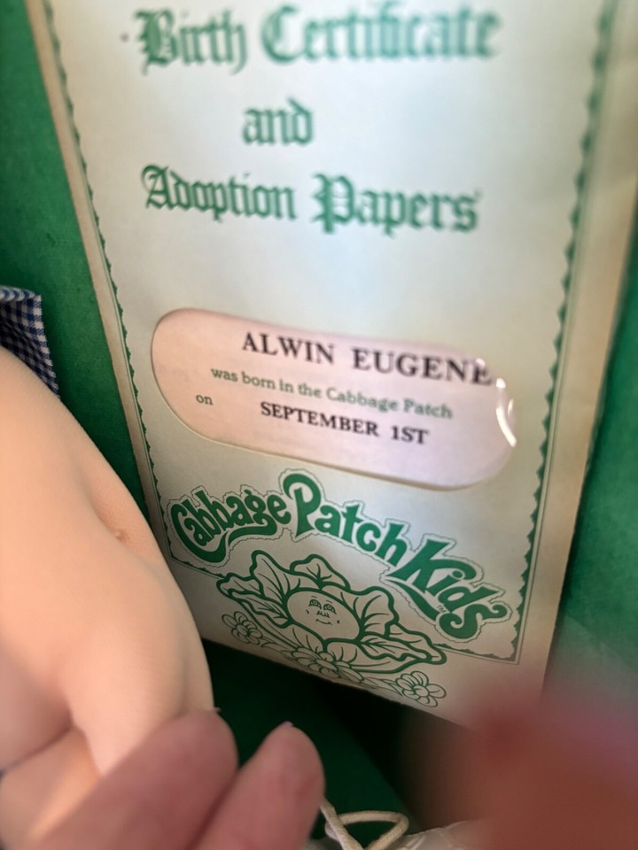 Cabbage Patch Kids Alvin Eugene Boy blonde Hair Brn Eyes In Box W