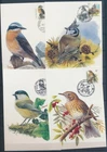 XE59649 Belgium 1991 -1998 Buzin birds maxicards used