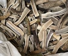 8" Split Elk Antler Chew C Grade Dog Treat, Natural No Preservatives, 1 Pound