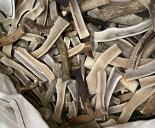 8" Split Elk Antler Chew – C Grade Dog Treat, Natural No Preservatives, 4 Pieces