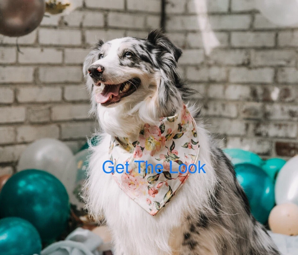 Top Paw Pink Peony Neoprene Dog Bandana Slide Multiple - Image 2 of 4